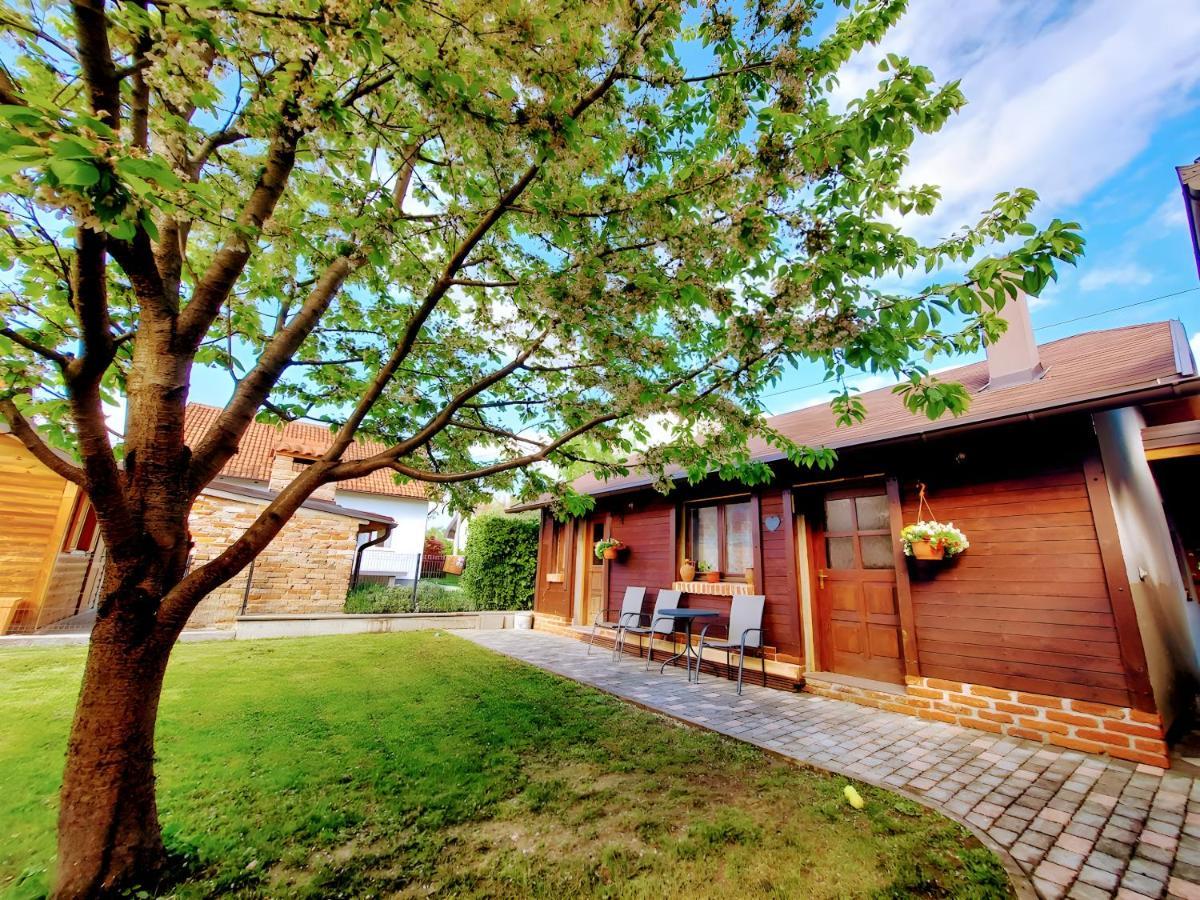 Studio Apartman Buteo Jasztrebarszka Kültér fotó